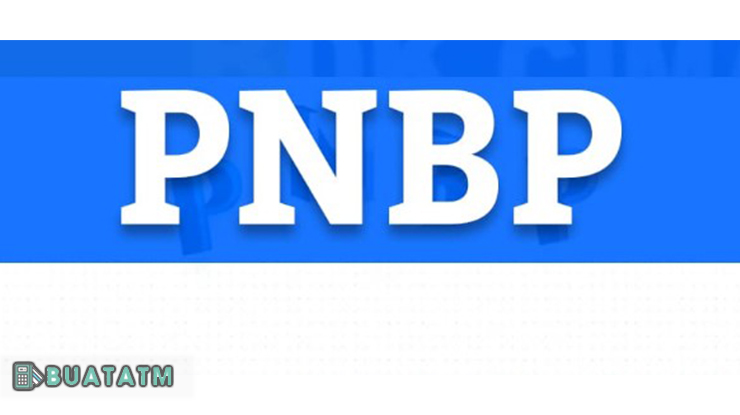 Keuntungan Bayar PNBP lewat Mobile Banking BRI