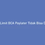 Limit BCA Paylater Tidak Bisa Digunakan